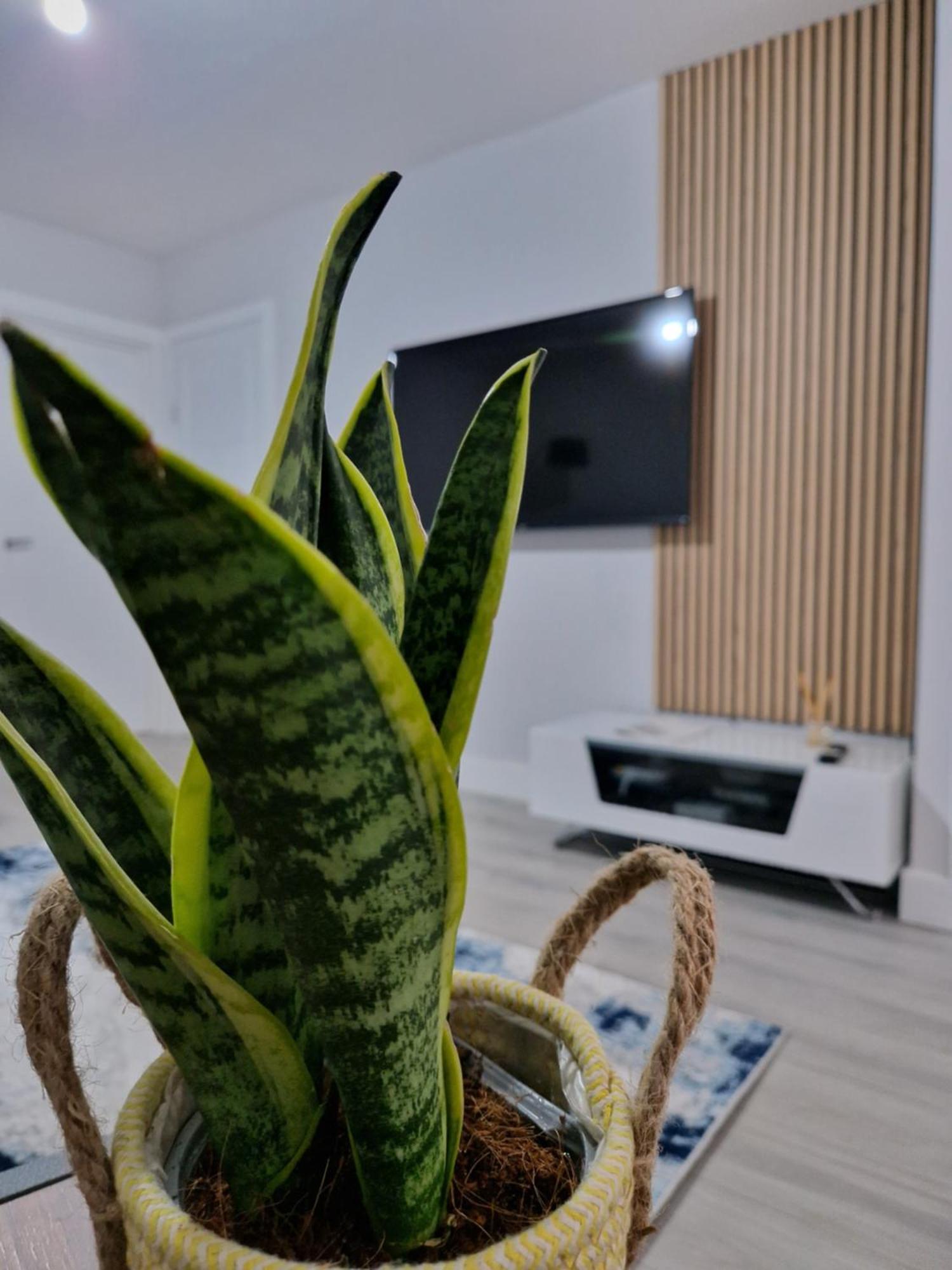 Stylish 2 Bed Home- Short Walk To Tottenham Stadium/Stations London Ngoại thất bức ảnh